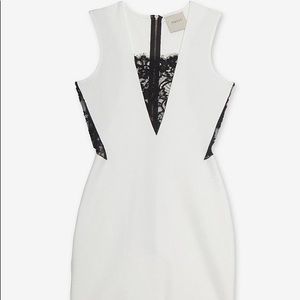Michelle Mason Dress